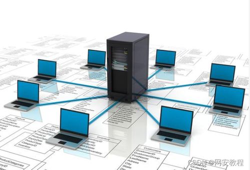 計算機網絡技術專業 聚焦軟硬件開發，解鎖熱門就業方向與廣闊前景